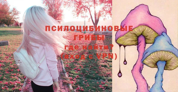 COCAINE Медвежьегорск