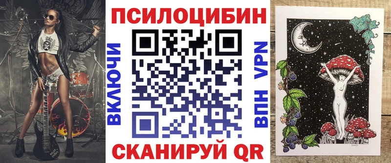 Псилоцибиновые грибы Psilocybe Прокопьевск