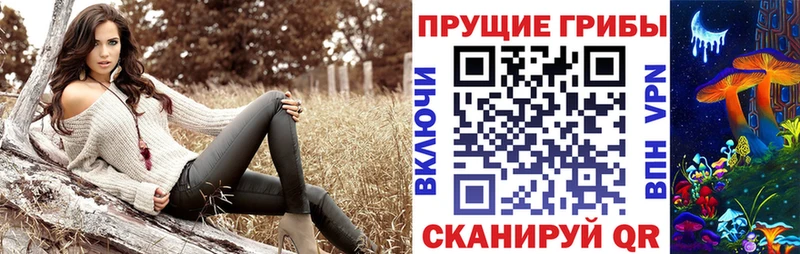 Псилоцибиновые грибы GOLDEN TEACHER  Купить  Прокопьевск 